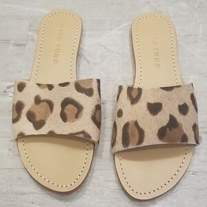 💕TRINA TURK💕 Raquel Slide Sandal ~ Leopard 8 NWT